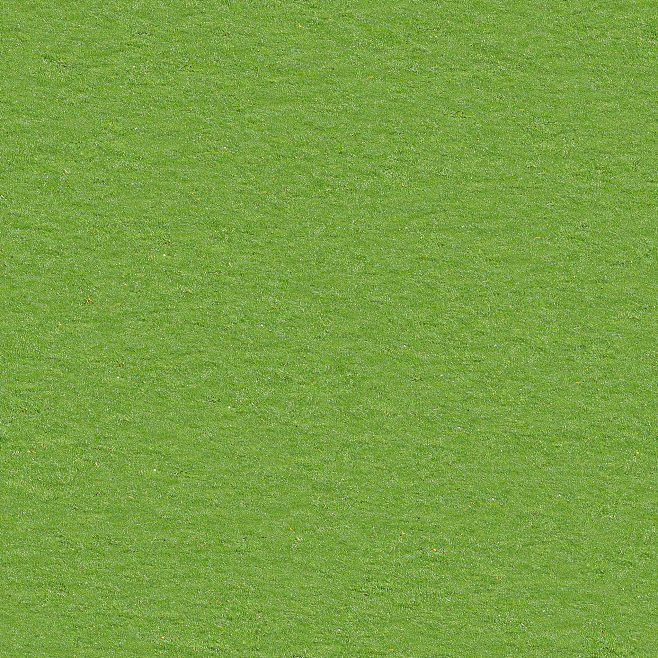 PracticeDx/resource/img/Grass.jpeg