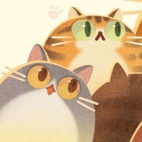 PracticeDx/resource/img/miaomiao.jpg